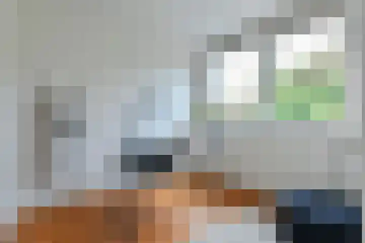 Linnaeusdreef 23 Breukelen thumbnail 23