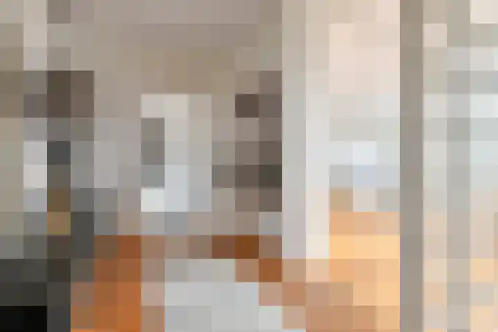 Linnaeusdreef 23 Breukelen thumbnail 26