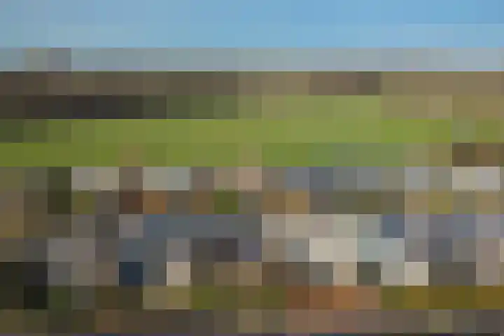 Linnaeusdreef 23 Breukelen thumbnail 28