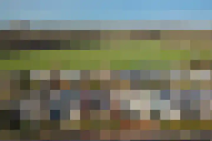 Linnaeusdreef 23 Breukelen thumbnail 29