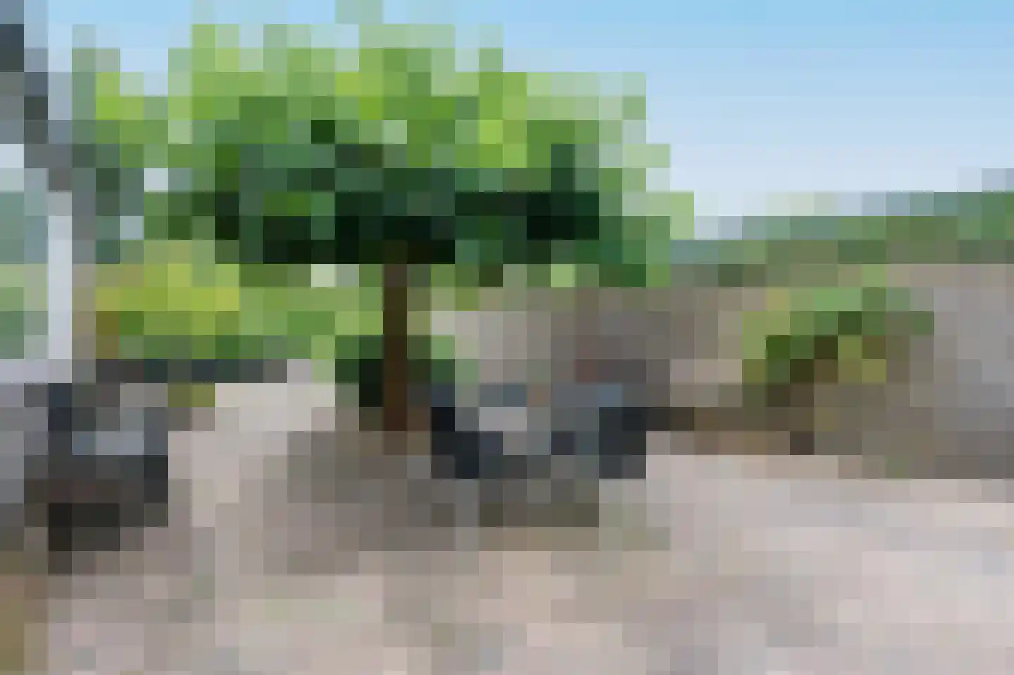 Linnaeusdreef 38 Breukelen thumbnail 25