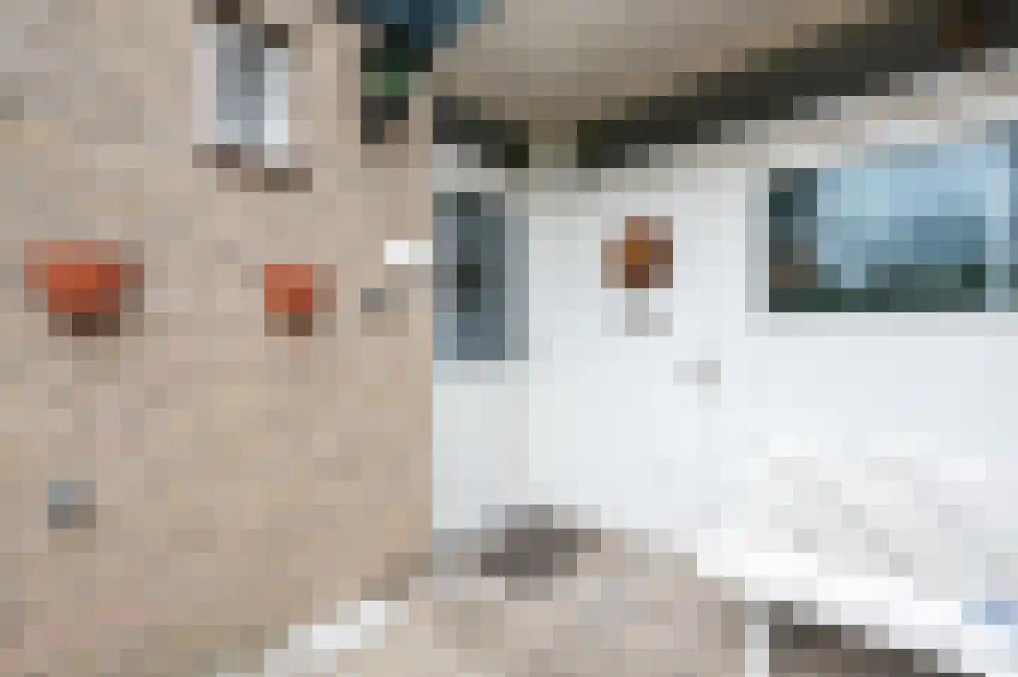 Linnaeusdreef 38 Breukelen thumbnail 5