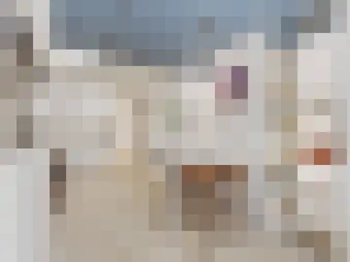 Linnaeusdreef 42 Breukelen thumbnail 10