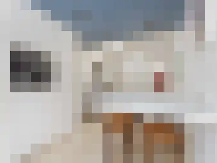 Linnaeusdreef 42 Breukelen thumbnail 11