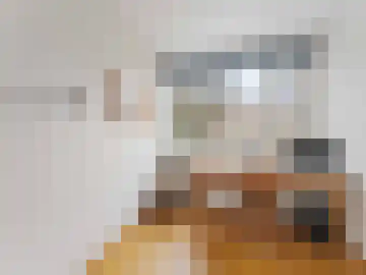Linnaeusdreef 42 Breukelen thumbnail 21