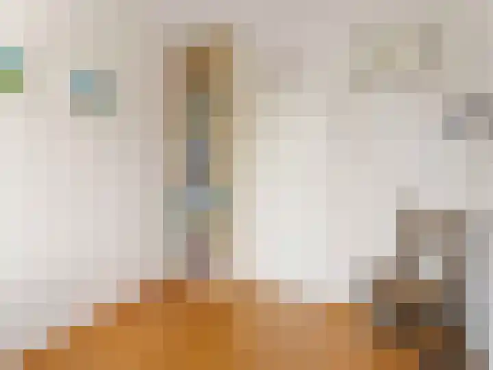 Linnaeusdreef 42 Breukelen thumbnail 22