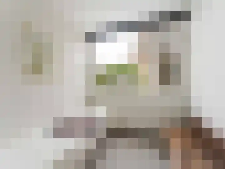 Linnaeusdreef 42 Breukelen thumbnail 23