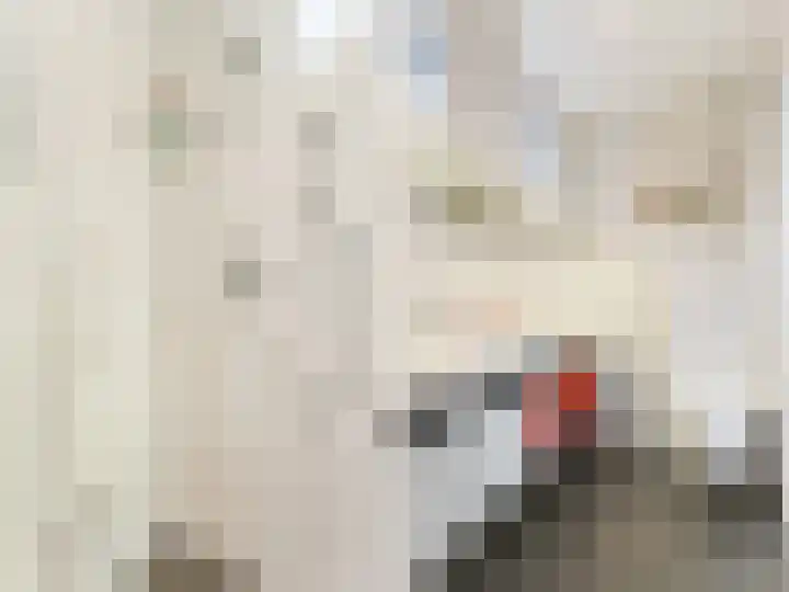 Linnaeusdreef 42 Breukelen thumbnail 27