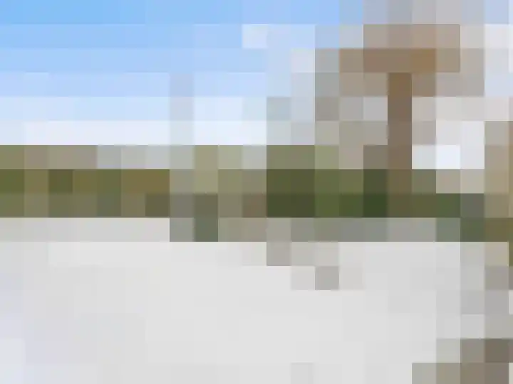 Linnaeusdreef 42 Breukelen thumbnail 41