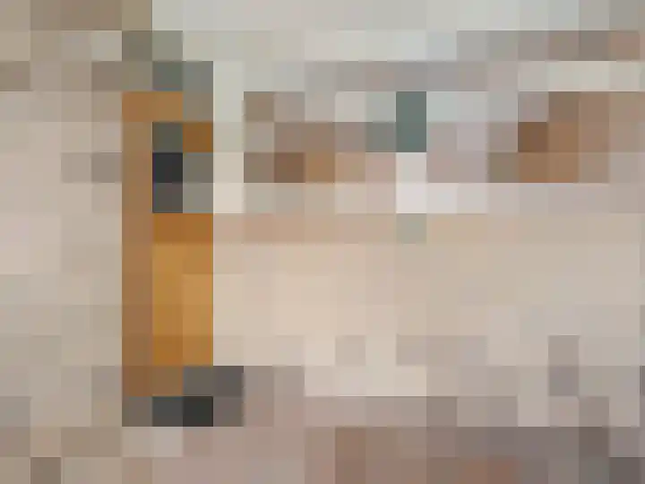 Linnaeusdreef 42 Breukelen thumbnail 5