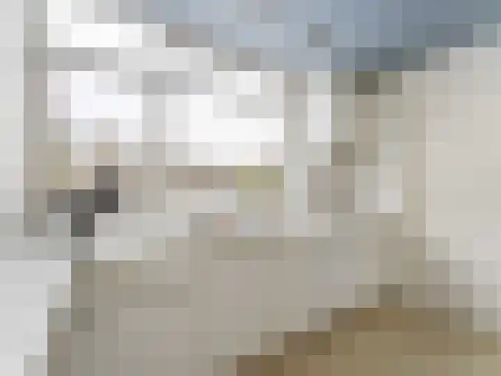 Linnaeusdreef 42 Breukelen thumbnail 8
