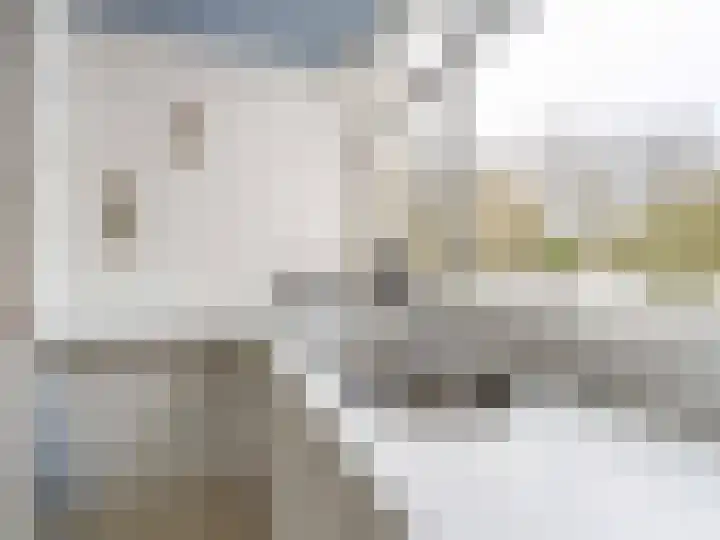 Linnaeusdreef 42 Breukelen thumbnail 9