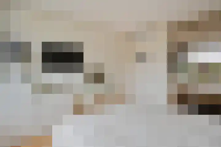 Linnaeusdreef 47 Breukelen thumbnail 24