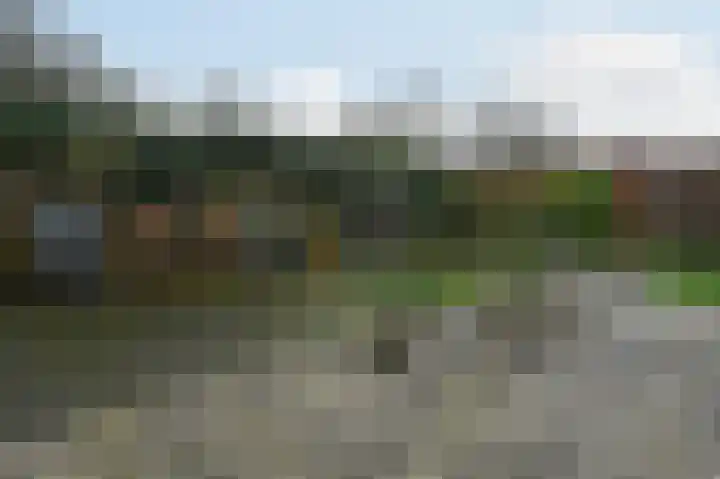 Linnaeusdreef 47 Breukelen thumbnail 30