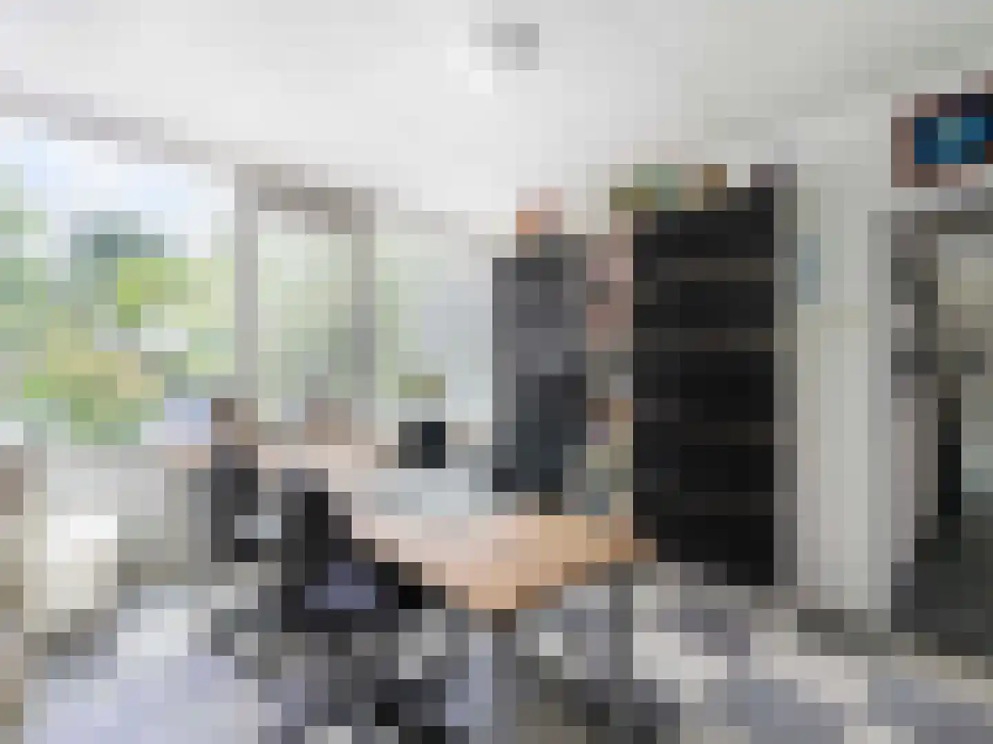 Linnaeusdreef 66 Breukelen thumbnail 15
