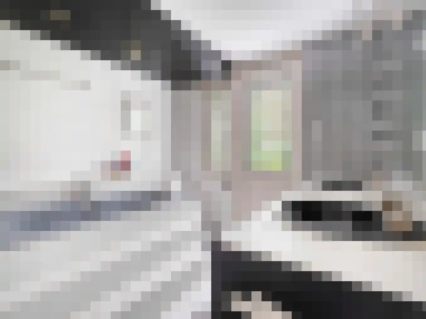 Linnaeusdreef 66 Breukelen thumbnail 18