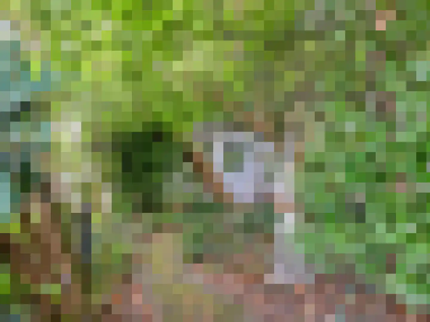 Linnaeusdreef 66 Breukelen thumbnail 30