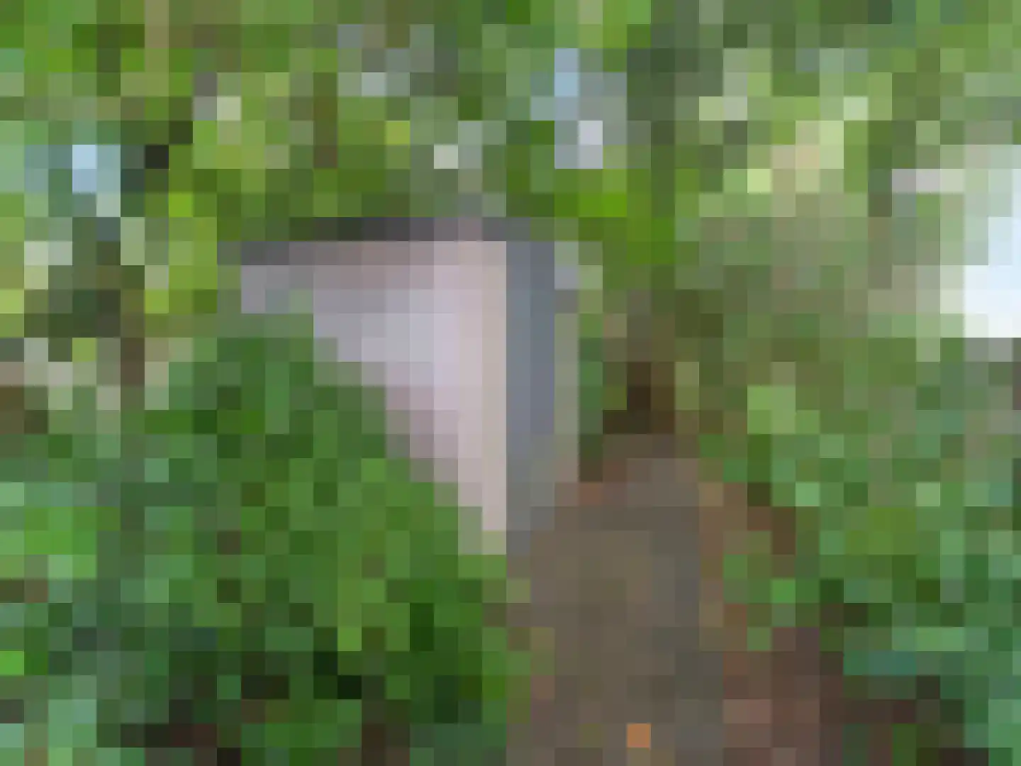 Linnaeusdreef 66 Breukelen thumbnail 32