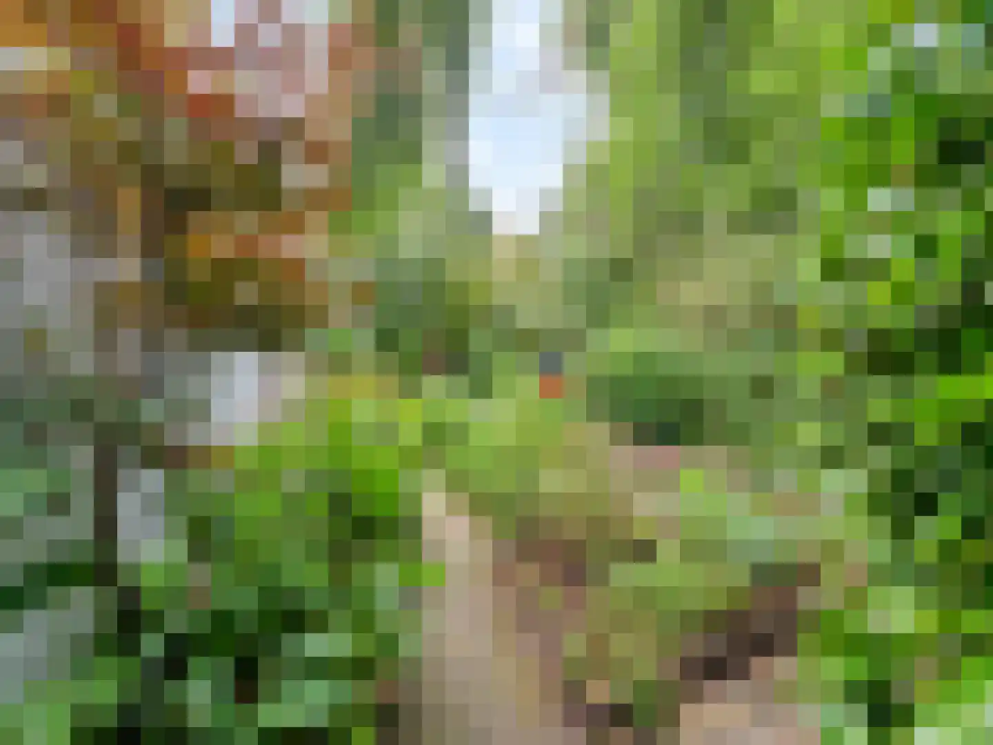 Linnaeusdreef 66 Breukelen thumbnail 37