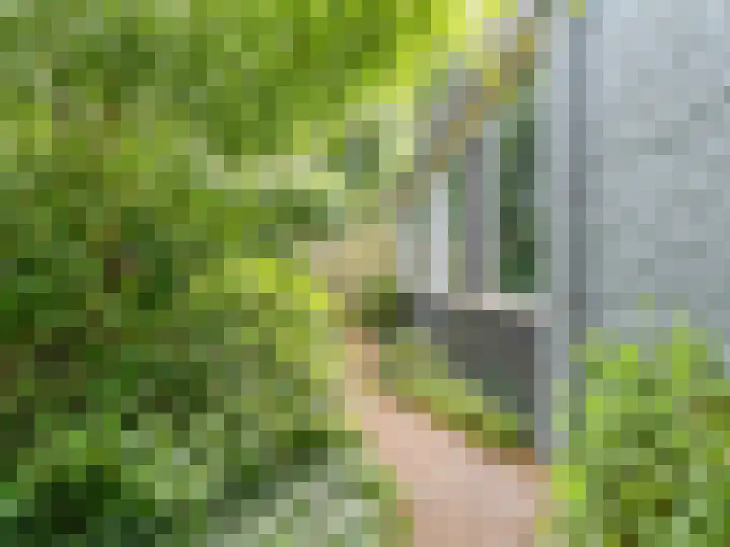 Linnaeusdreef 66 Breukelen thumbnail 40
