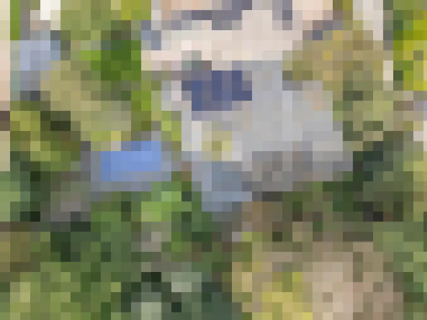 Linnaeusdreef 66 Breukelen thumbnail 46