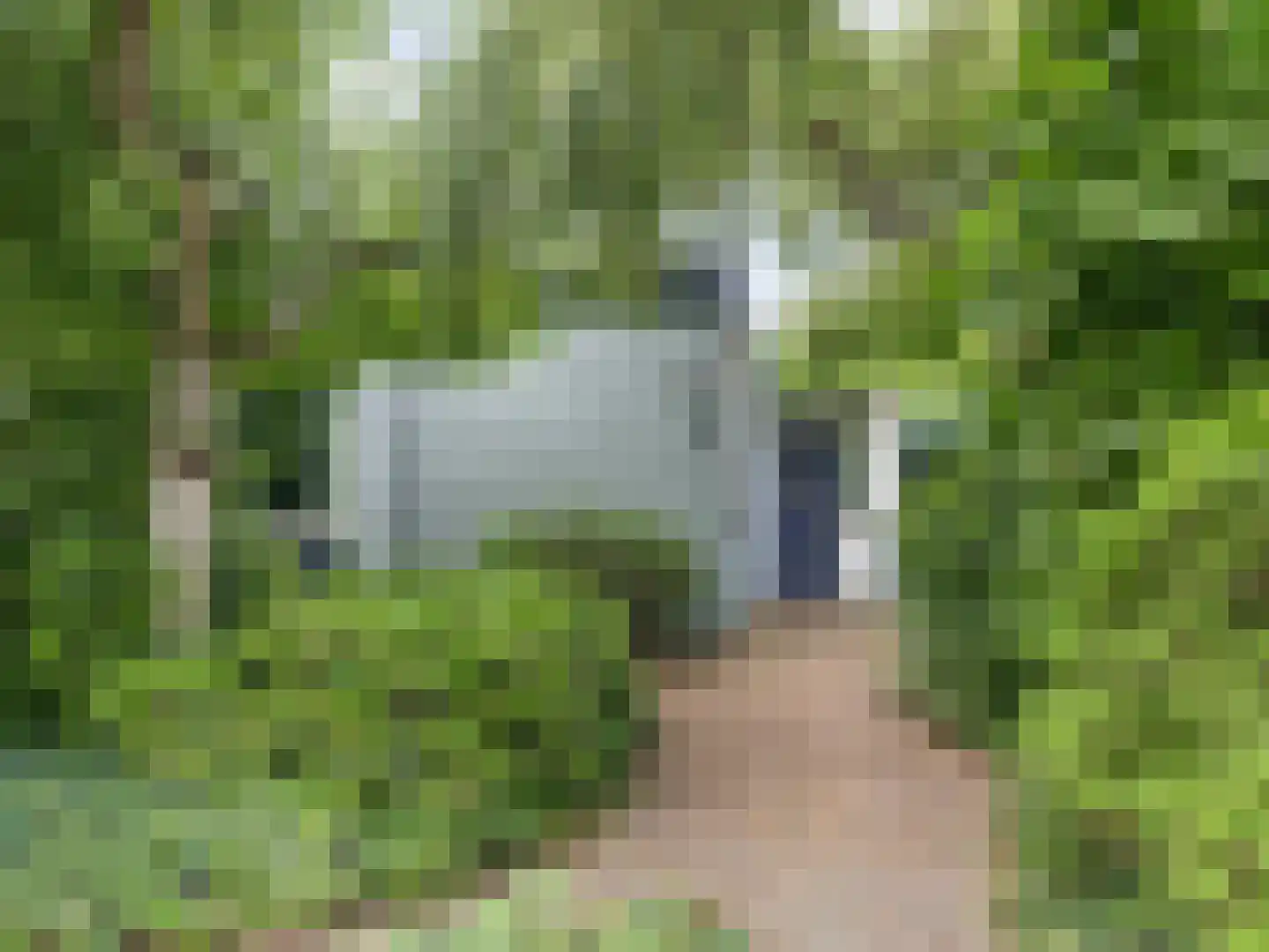 Linnaeusdreef 66 Breukelen thumbnail 5