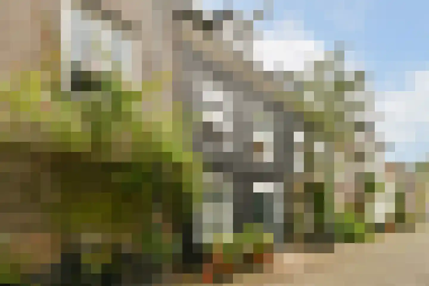 Linnaeusdwarsstraat 20 Amsterdam