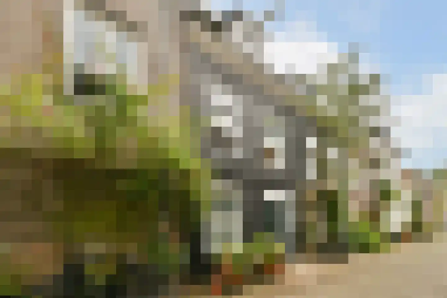 Linnaeusdwarsstraat 20 Amsterdam thumbnail 17