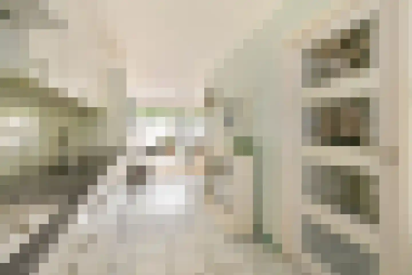 Linnaeusdwarsstraat 20 Amsterdam thumbnail 8