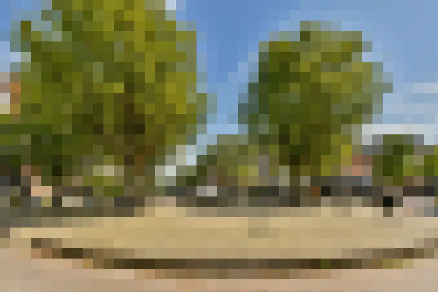 Linnaeusdwarsstraat 22 Amsterdam thumbnail 28