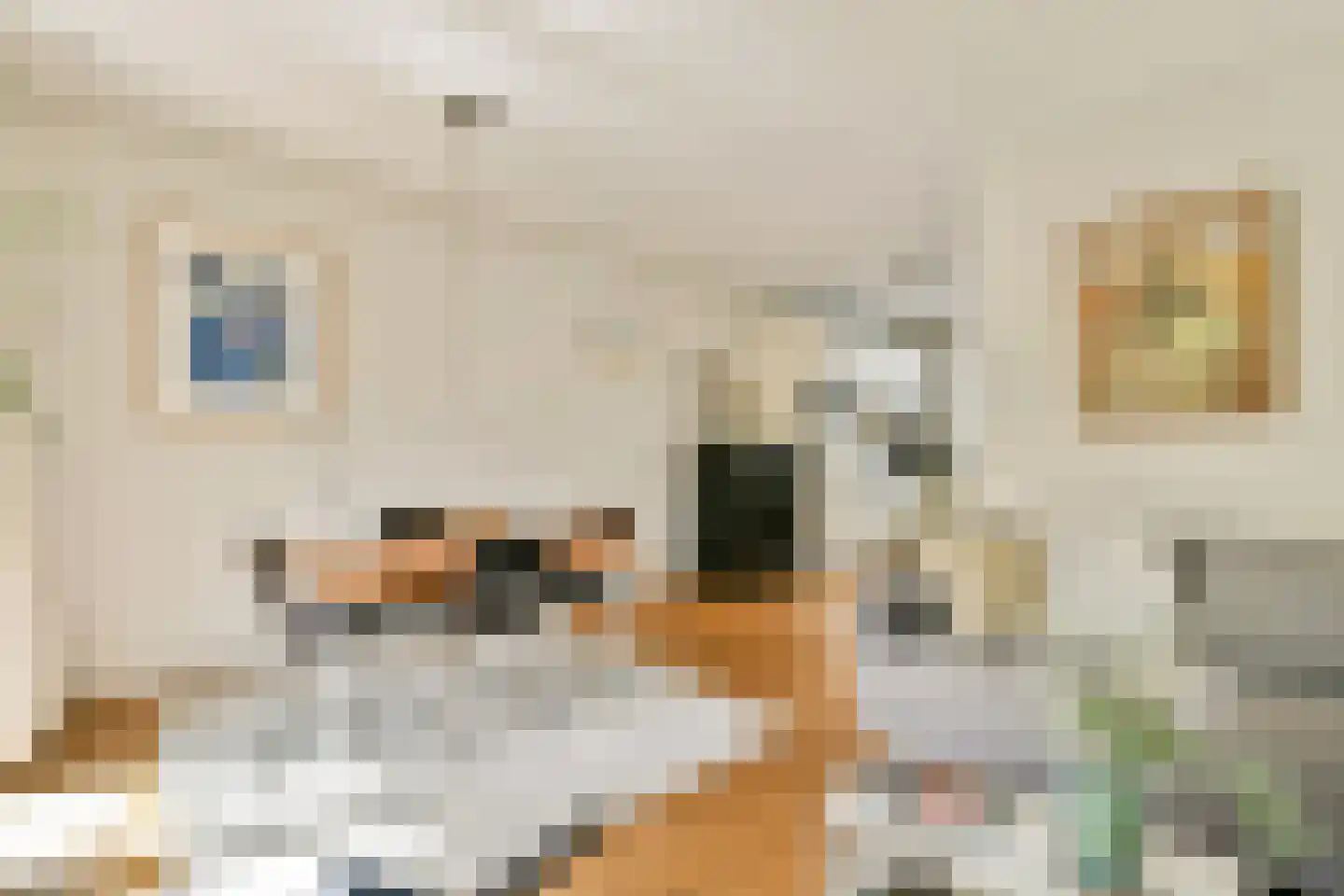Linnaeusdwarsstraat 22 Amsterdam thumbnail 4