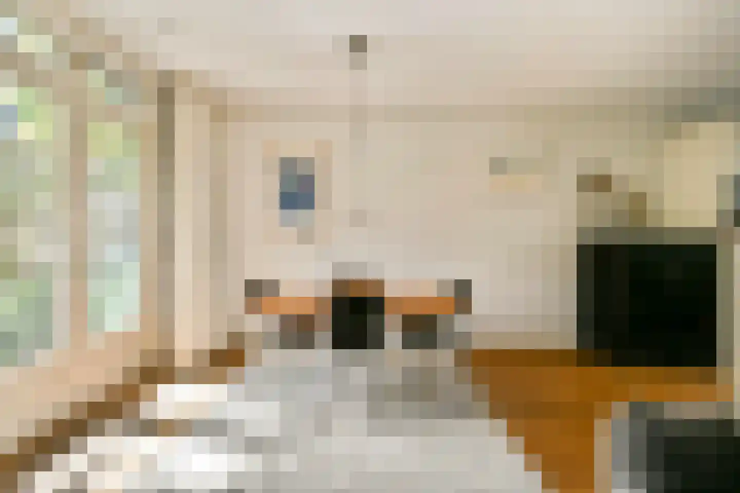 Linnaeusdwarsstraat 22 Amsterdam thumbnail 5