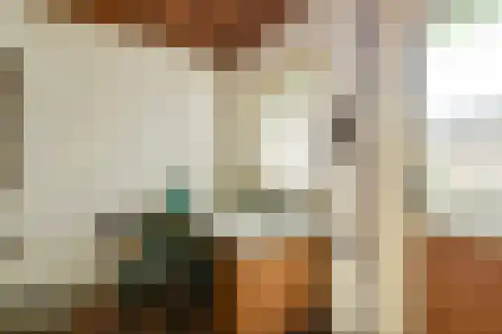 Linnaeusdwarsstraat 24 Amsterdam thumbnail 5