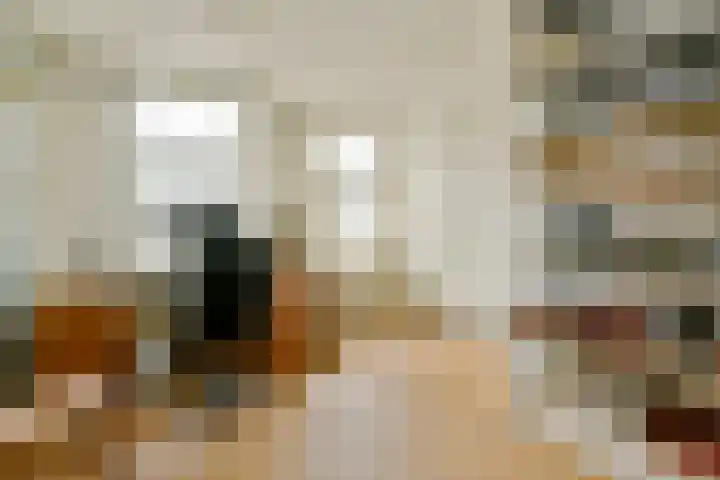 Linnaeusdwarsstraat 24 Amsterdam thumbnail 8