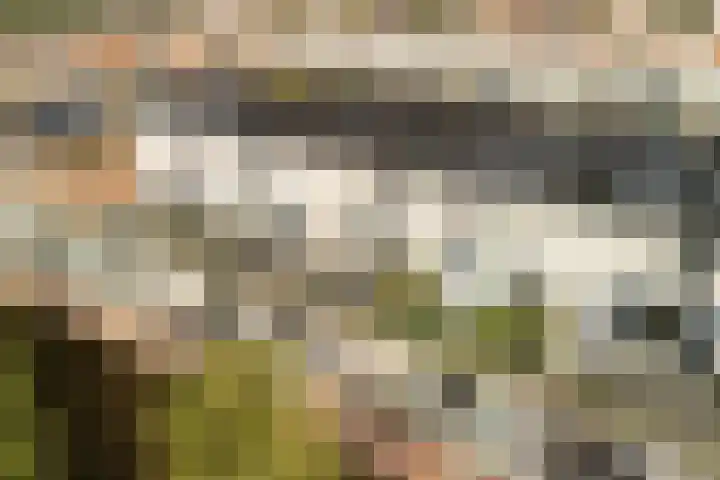 Linnaeushof 11 Oegstgeest thumbnail 10