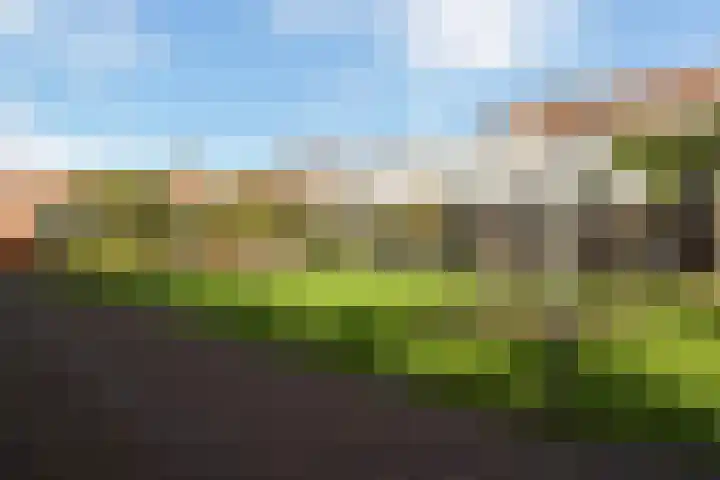 Linnaeushof 11 Oegstgeest thumbnail 12