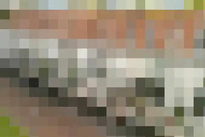 Linnaeushof 11 Oegstgeest thumbnail 13
