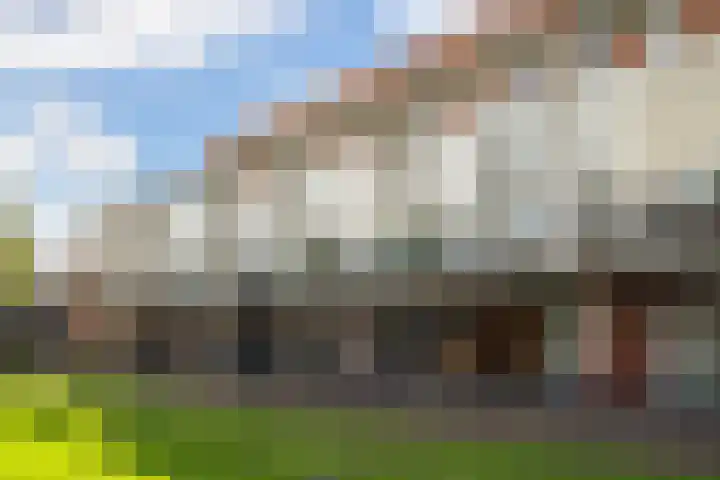 Linnaeushof 11 Oegstgeest thumbnail 16