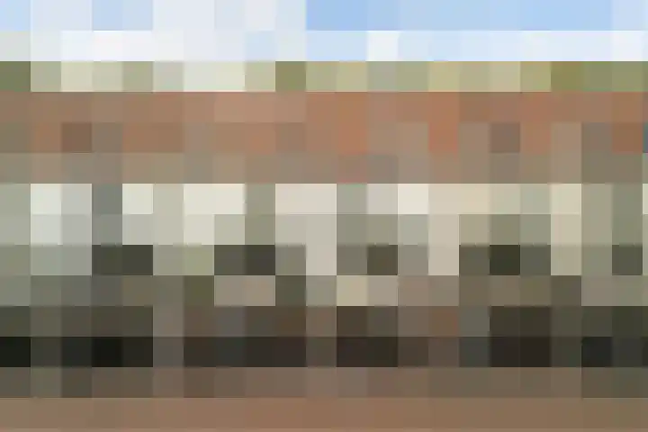Linnaeushof 11 Oegstgeest thumbnail 17