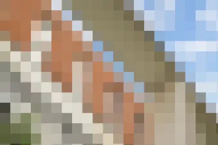 Linnaeushof 11 Oegstgeest thumbnail 18