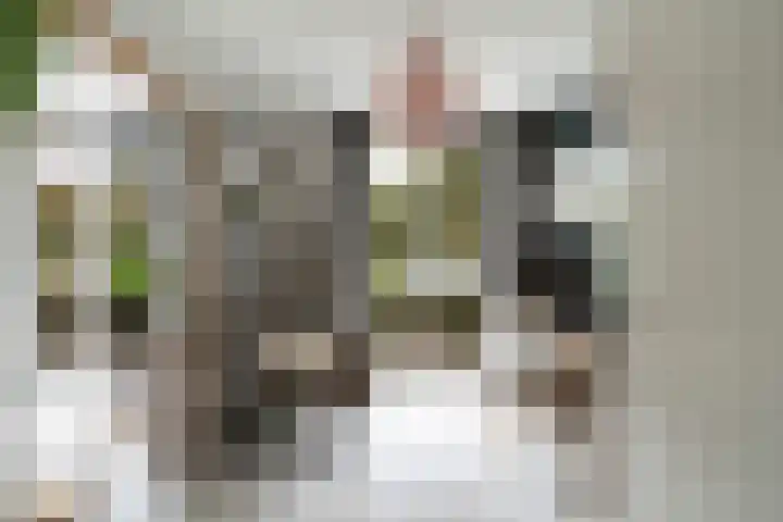 Linnaeushof 11 Oegstgeest thumbnail 23