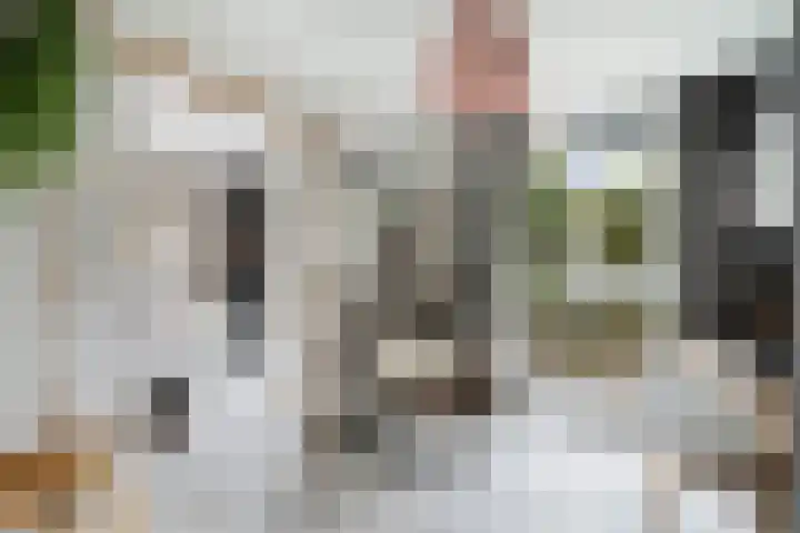 Linnaeushof 11 Oegstgeest thumbnail 24
