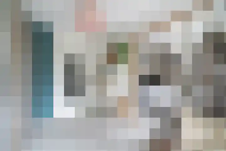 Linnaeushof 11 Oegstgeest thumbnail 25