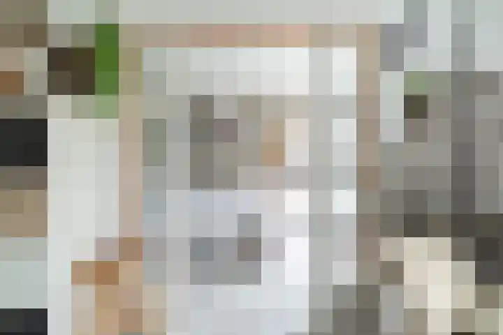 Linnaeushof 11 Oegstgeest thumbnail 26