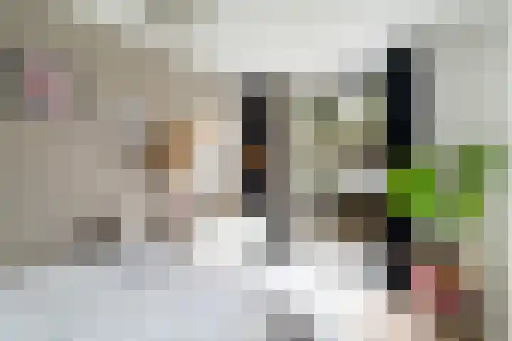 Linnaeushof 11 Oegstgeest thumbnail 27