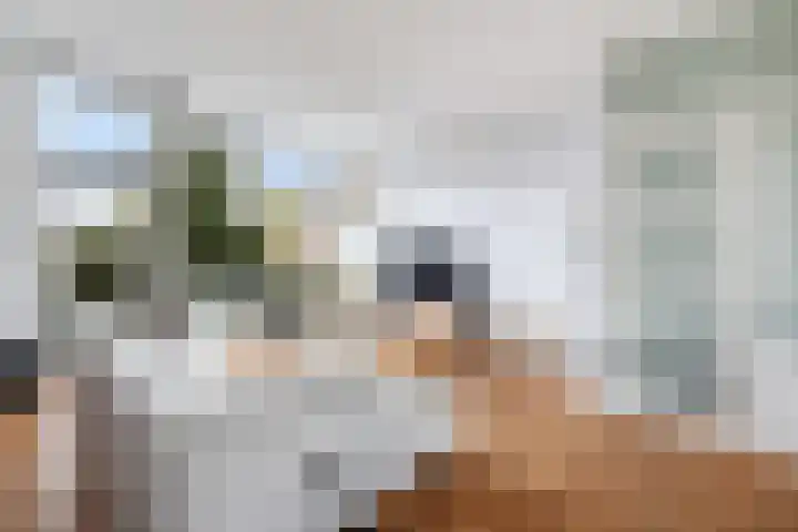 Linnaeushof 11 Oegstgeest thumbnail 32