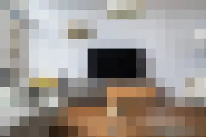 Linnaeushof 11 Oegstgeest thumbnail 34