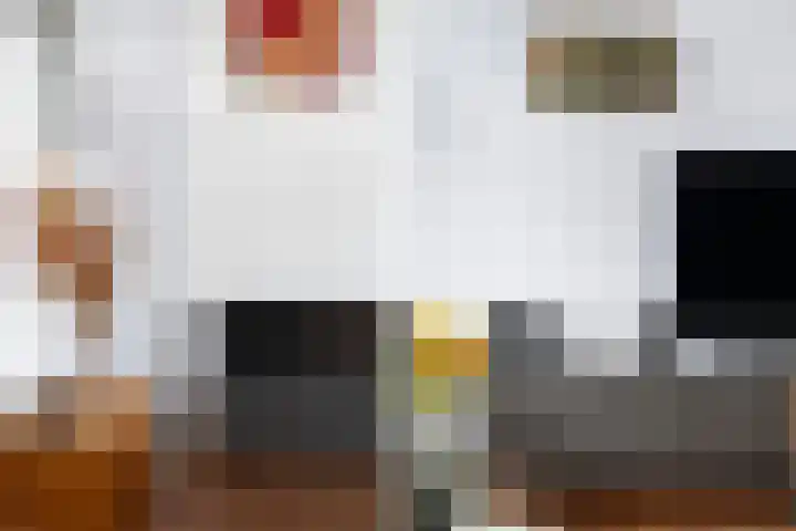 Linnaeushof 11 Oegstgeest thumbnail 35