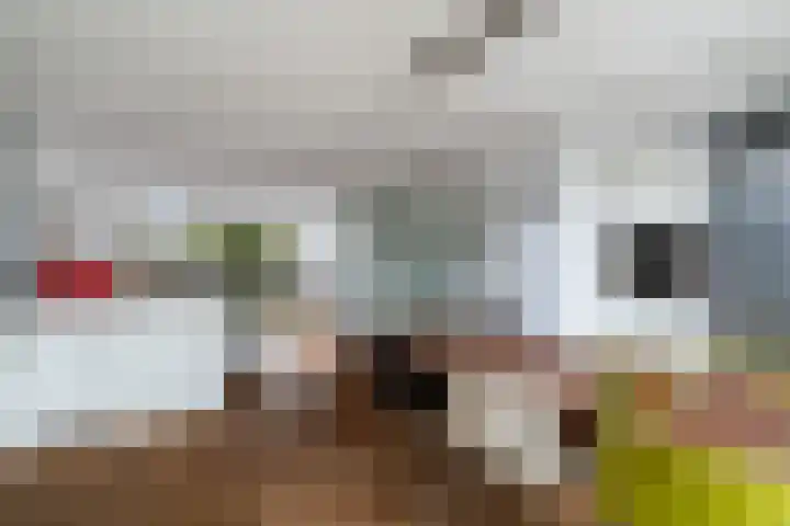 Linnaeushof 11 Oegstgeest thumbnail 42