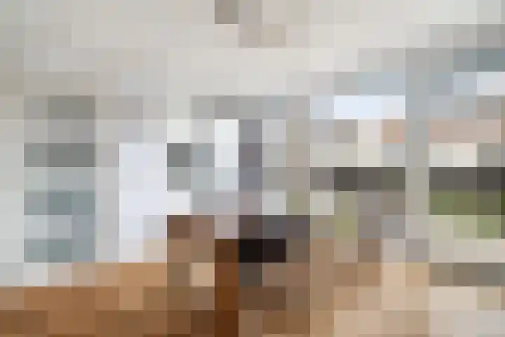 Linnaeushof 11 Oegstgeest thumbnail 44
